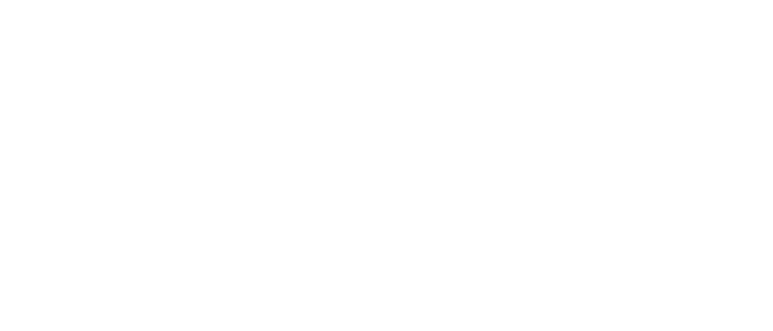 University of New South Wales logo.