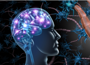 The gut-brain connection. An image of a lit up brain and microbiome particles