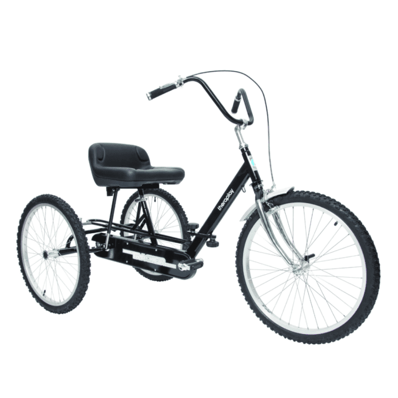 Theraplay Tracker 24