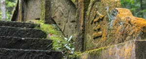 Stone wall and staircase covered with moss.