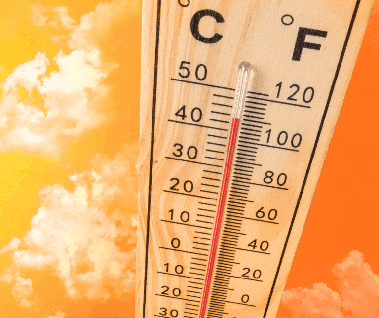 Before the Heatwave Hits: What Managers Should Do Now | Dowell Solutions