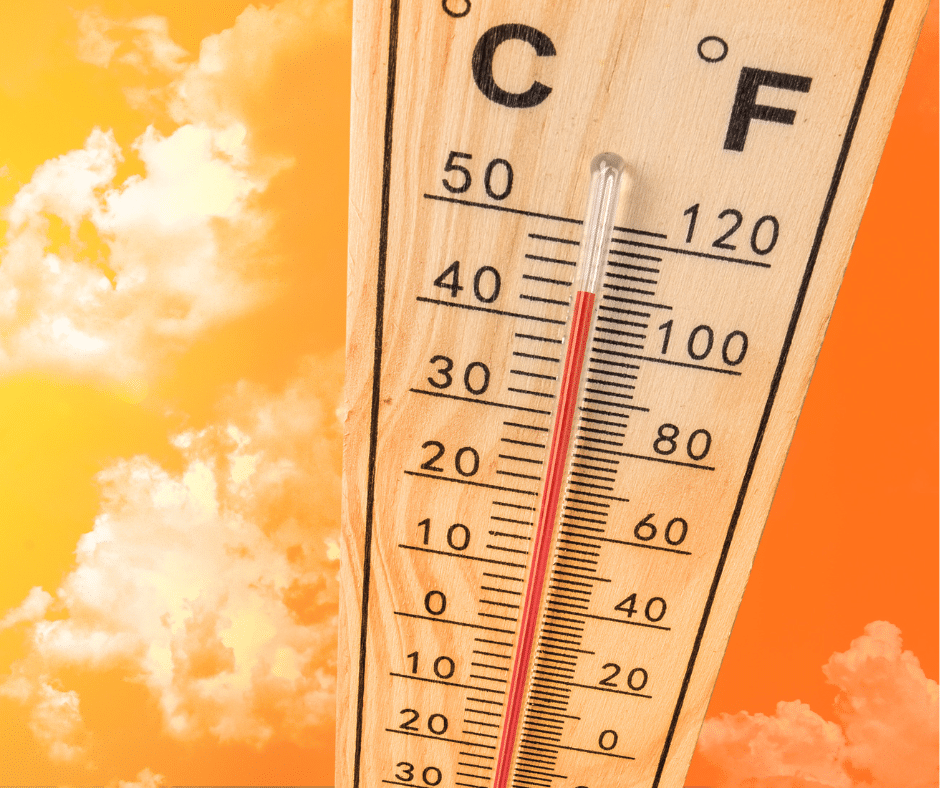 Before the Heatwave Hits: What Managers Should Do Now | Dowell Solutions