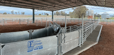 Screenshot 2024-12-19 144906