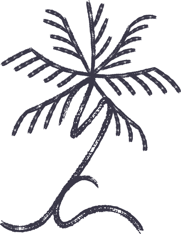 Coloured palm tree logo