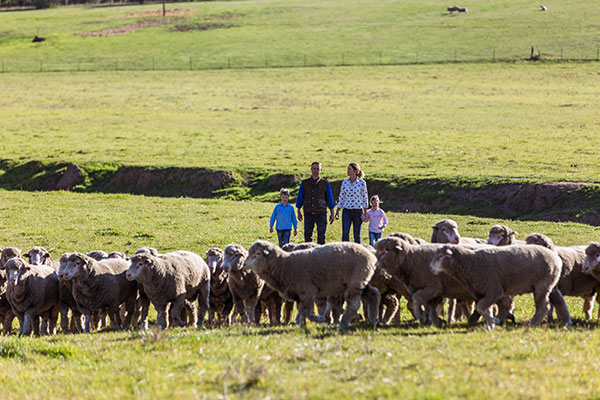 Glen-Iris-Stud_3I7A3072_DIGITAL