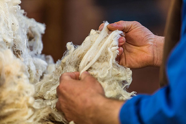 Glen-Iris-Stud_3I7A3260_DIGITAL