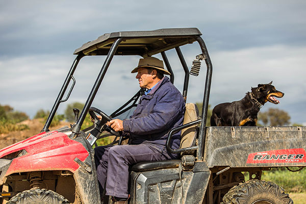 Glen-Iris-Stud_3I7A3334_DIGITAL