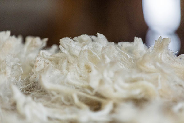 Glen-Iris-Stud_3I7A3357_DIGITAL