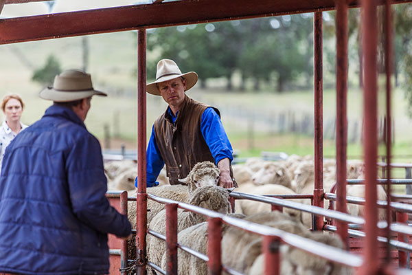 Glen-Iris-Stud_3I7A3444_DIGITAL