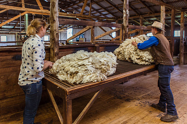 Glen-Iris-Stud_IMG_2624_DIGITAL