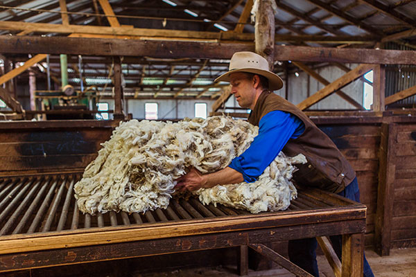 Glen-Iris-Stud_IMG_2628_DIGITAL