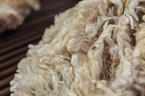 Glen-Iris-Stud_IMG_2648_DIGITAL