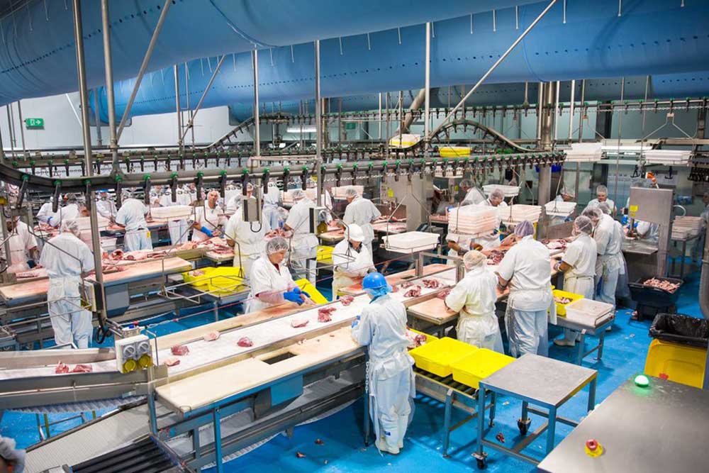 GMP’s $30 million expansion takes shape