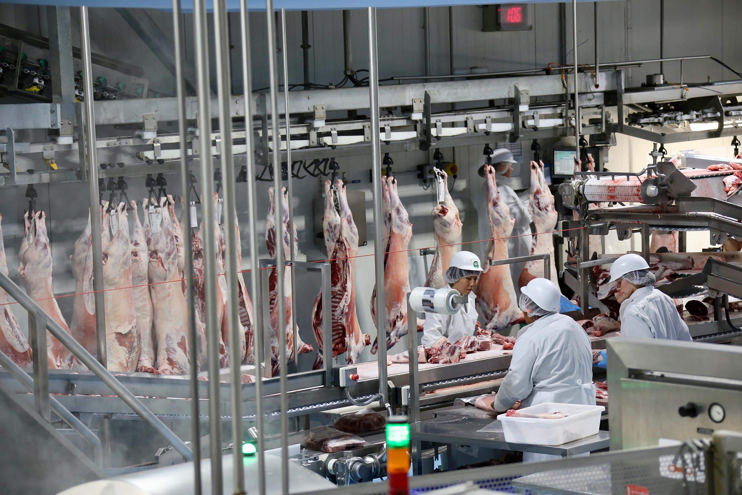 Red meat processing is big business
