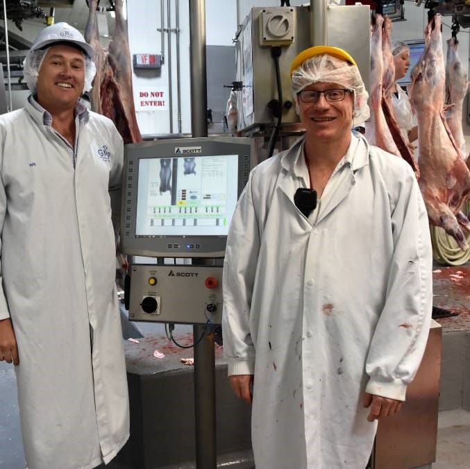 Value-based pricing will transform lamb industry