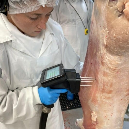 Eating quality tool a step closer to commercial reality