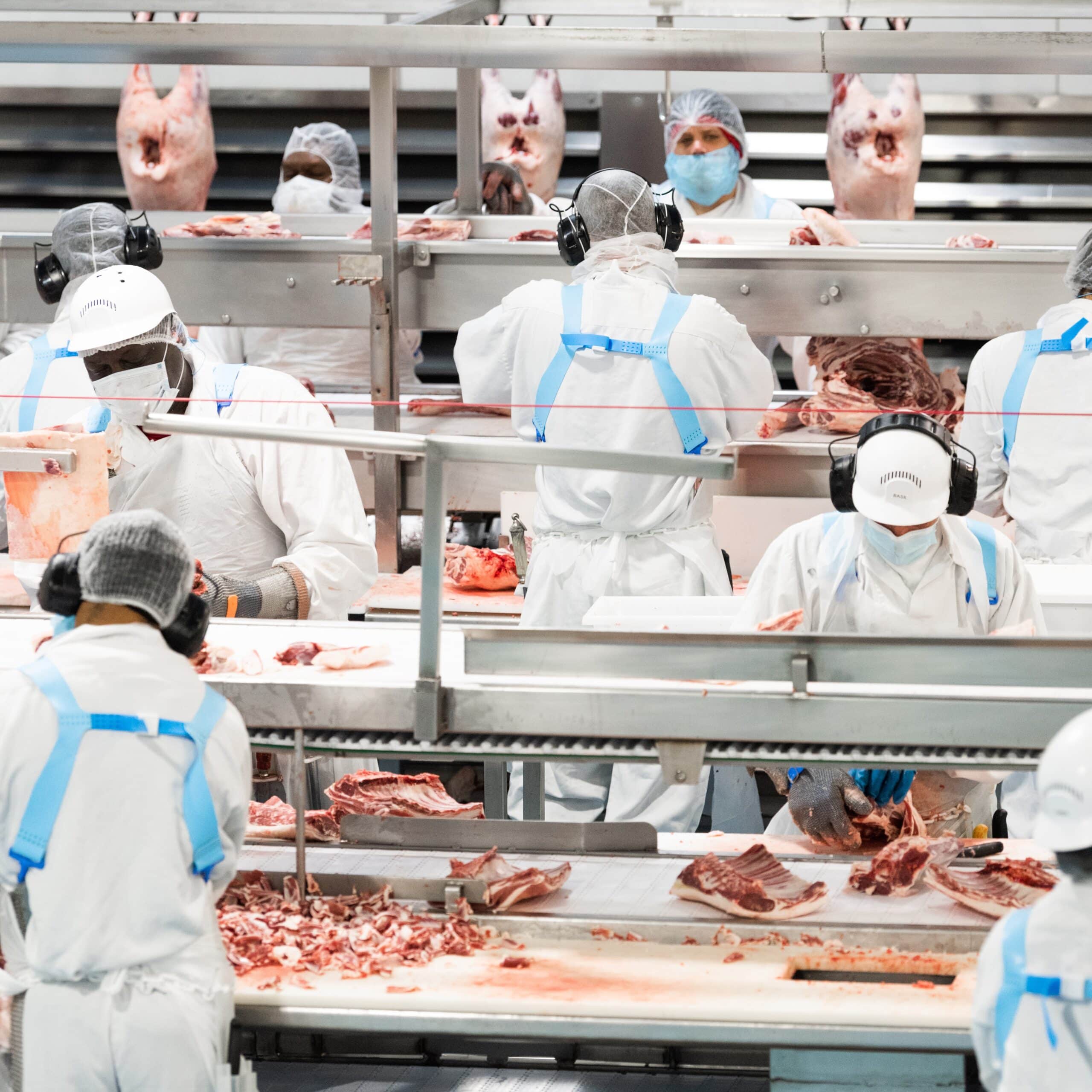 Lamb prices to remain high amid abattoir worker shortage