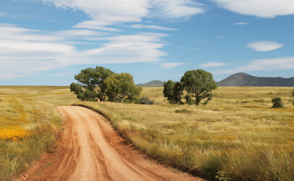 Conveyancing in country NSW