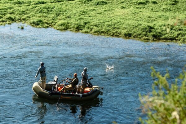 231012-Standard Guide Day (20 of 233)