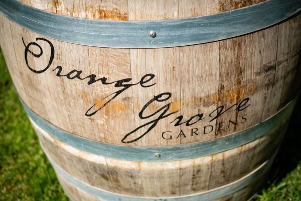 Ben-and-Chloe-DALL3097