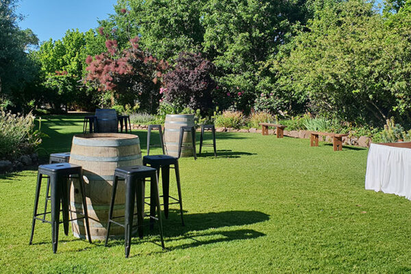 lawn-20181110_084631