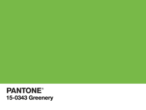 Screen Shot 2017-04-26 at 8.53.51 AM