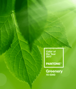 Screen Shot 2017-04-26 at 8.53.59 AM