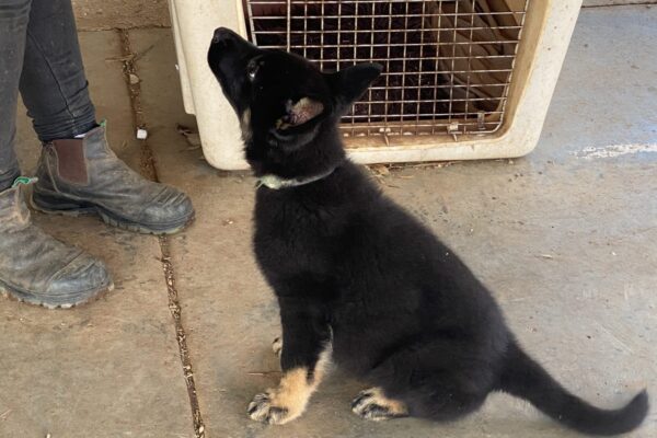 Photo 10-2-20, 18 18 01