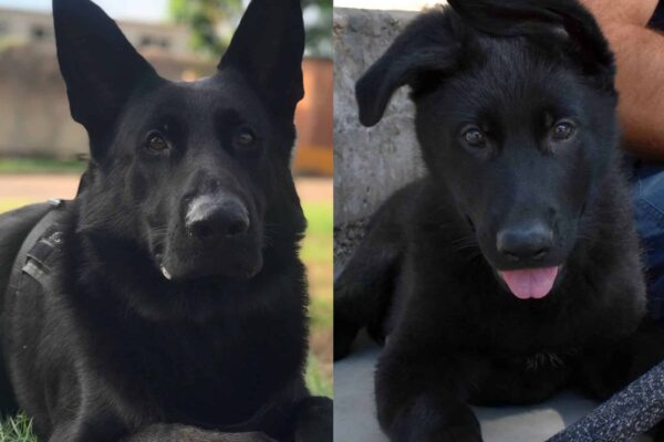 Photo 11-2-20, 20 41 30