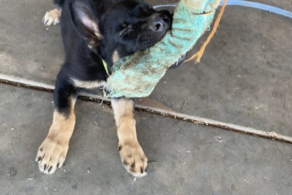 Photo 16-3-20, 18 30 15