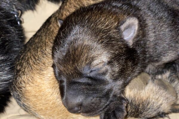 Photo 19-3-20, 20 23 51