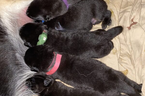 Photo 26-12-19, 22 32 57