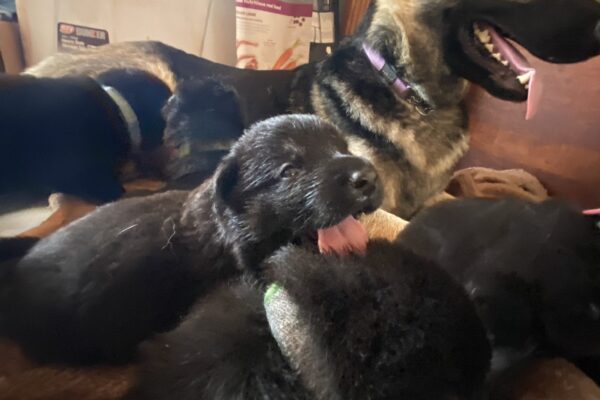 Photo 3-1-20, 14 43 51