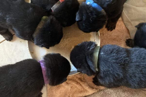 Photo 3-1-20, 14 53 55