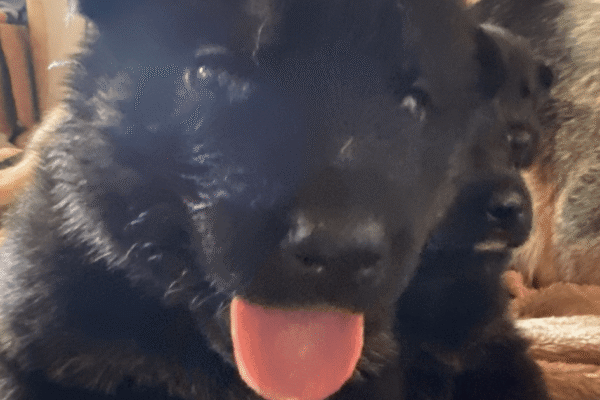 Photo 3-1-20, 15 17 02