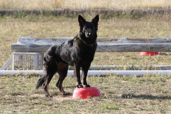 Photo 5-2-20, 14 00 23