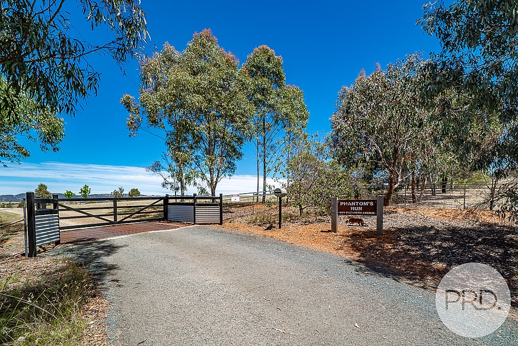 real estate wagga