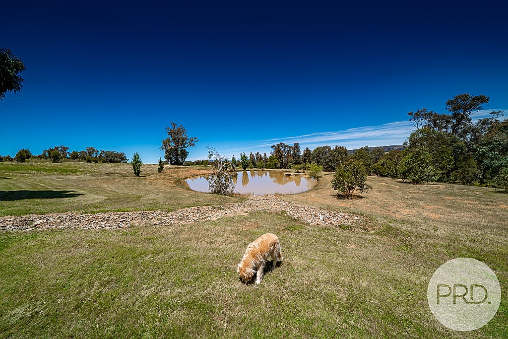 wagga real estate