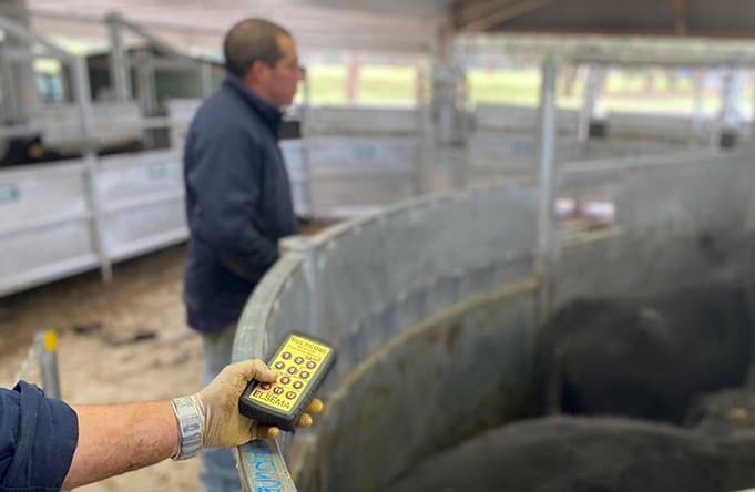 Pneumatic and Remote Cattle Handling - ProWay