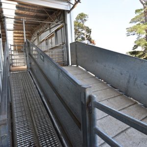 Concrete Ramp to Shearing Shed - ProWay Livestock Equipment