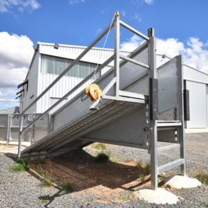 Sheep Handling Products Archives - ProWay