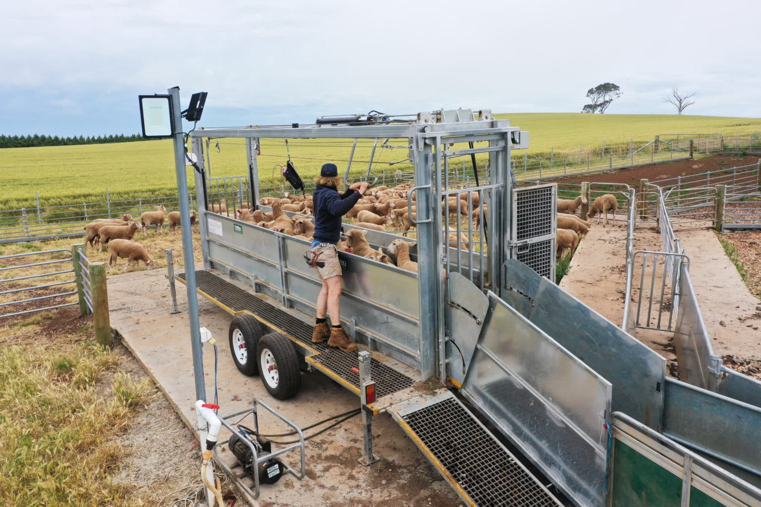 6M Contractor Bulk Handler - ProWay
