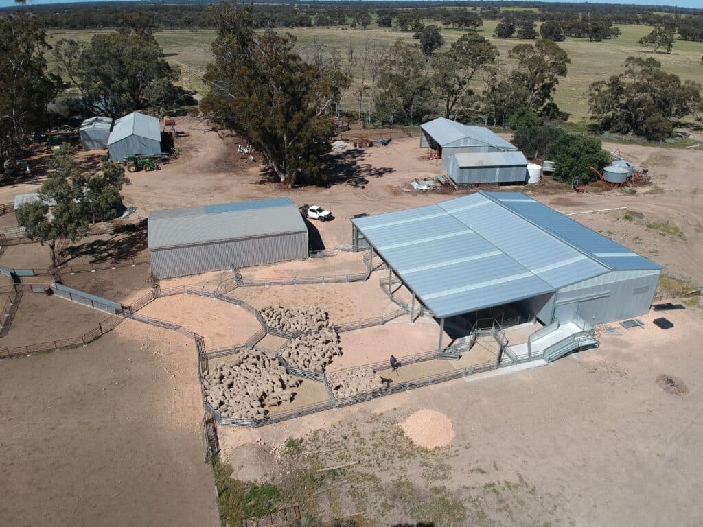 Sheep equipment and yards