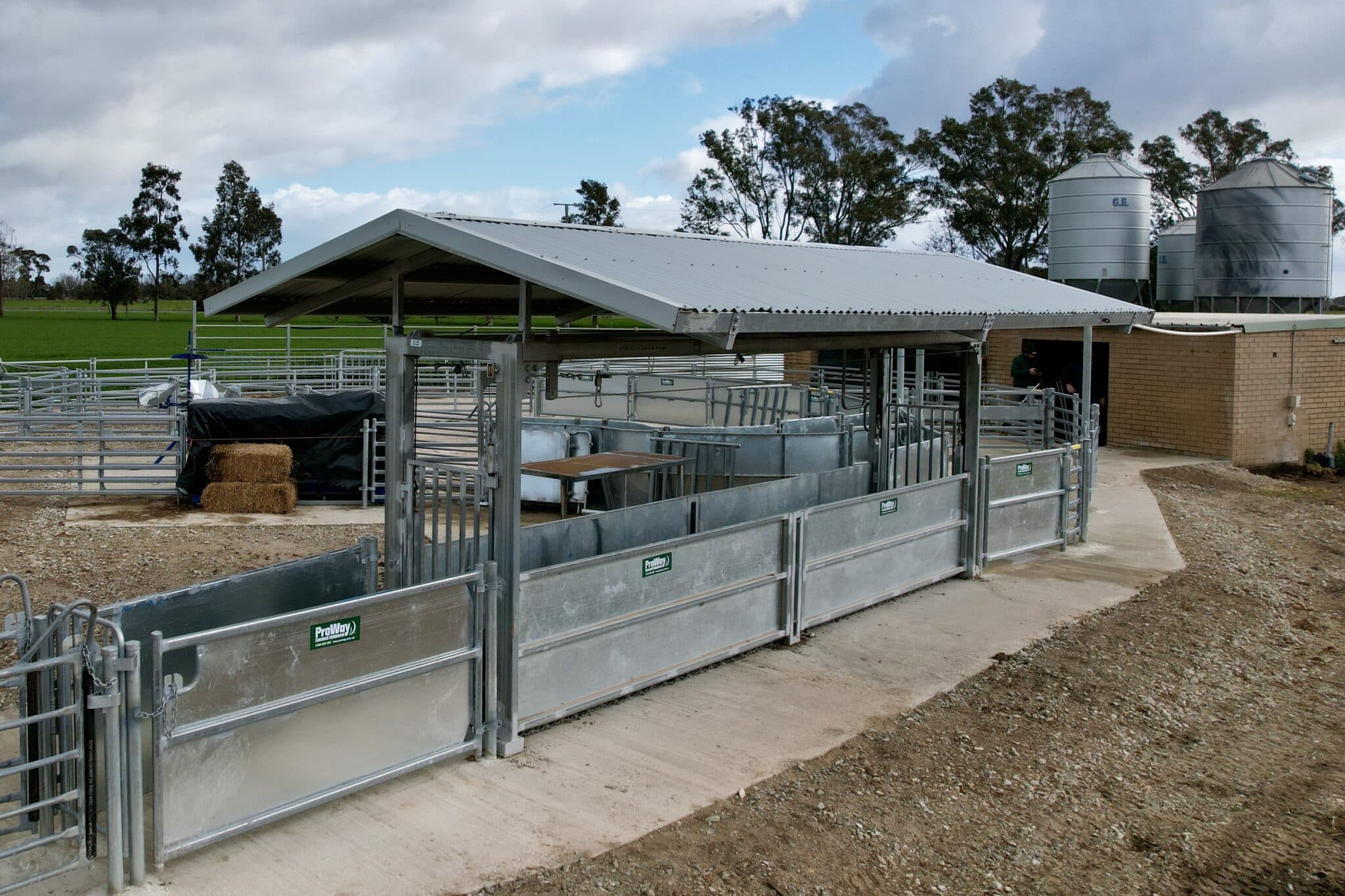 Sheep Bulk Handler - ProWay | 25+ Years Quality Experience