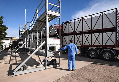 Cattle Loading Chute