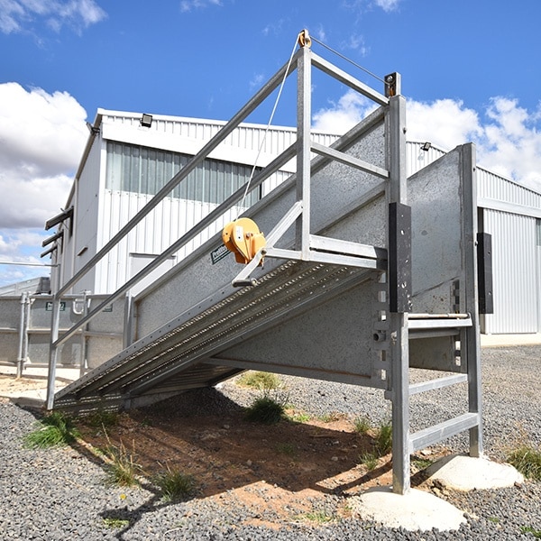 11ft Stationary Sheep Loading Chute from ProWay