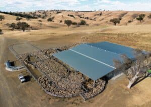 Sheep Corrals