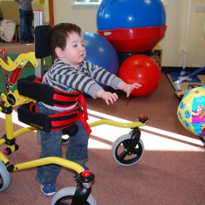 Buddy Roamer Gait Trainer