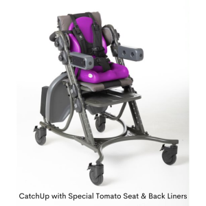 Catch Up Chair