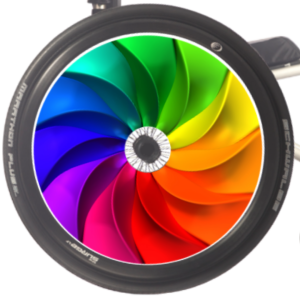 Spoke guards